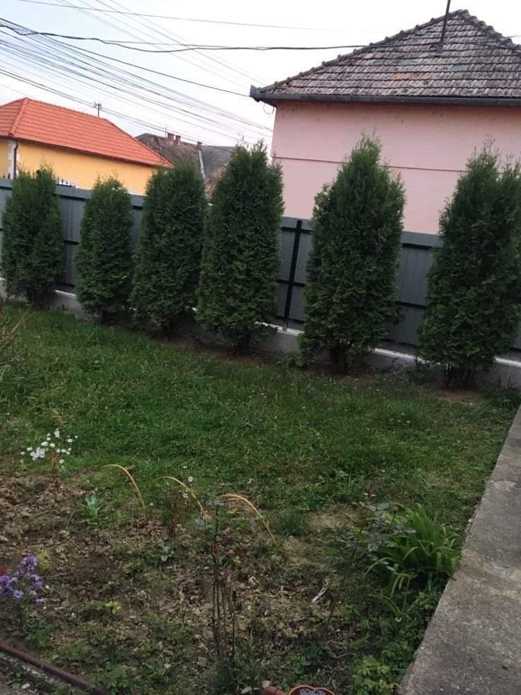 Casa de Vânzare in Tarnaveni Tarnaveni OLX ro