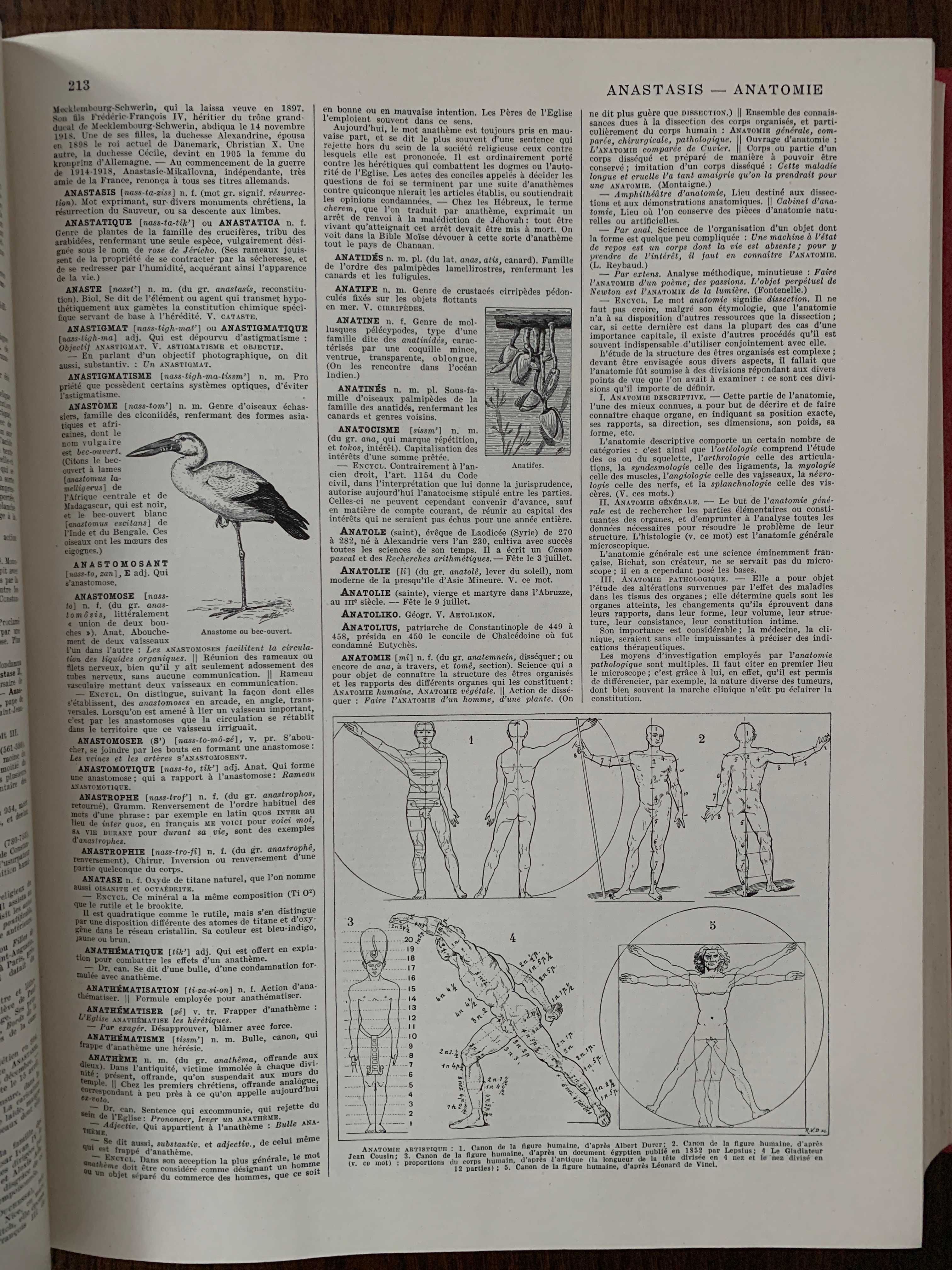 Larousse Du Xx E Siecle Volume Bucuresti Sectorul