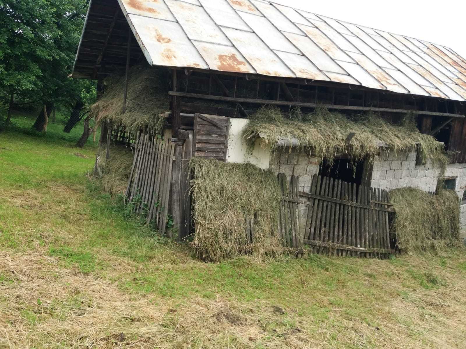 Casa de vanzare 4 camere 3000 mp teren izvor propriu Câmpulung