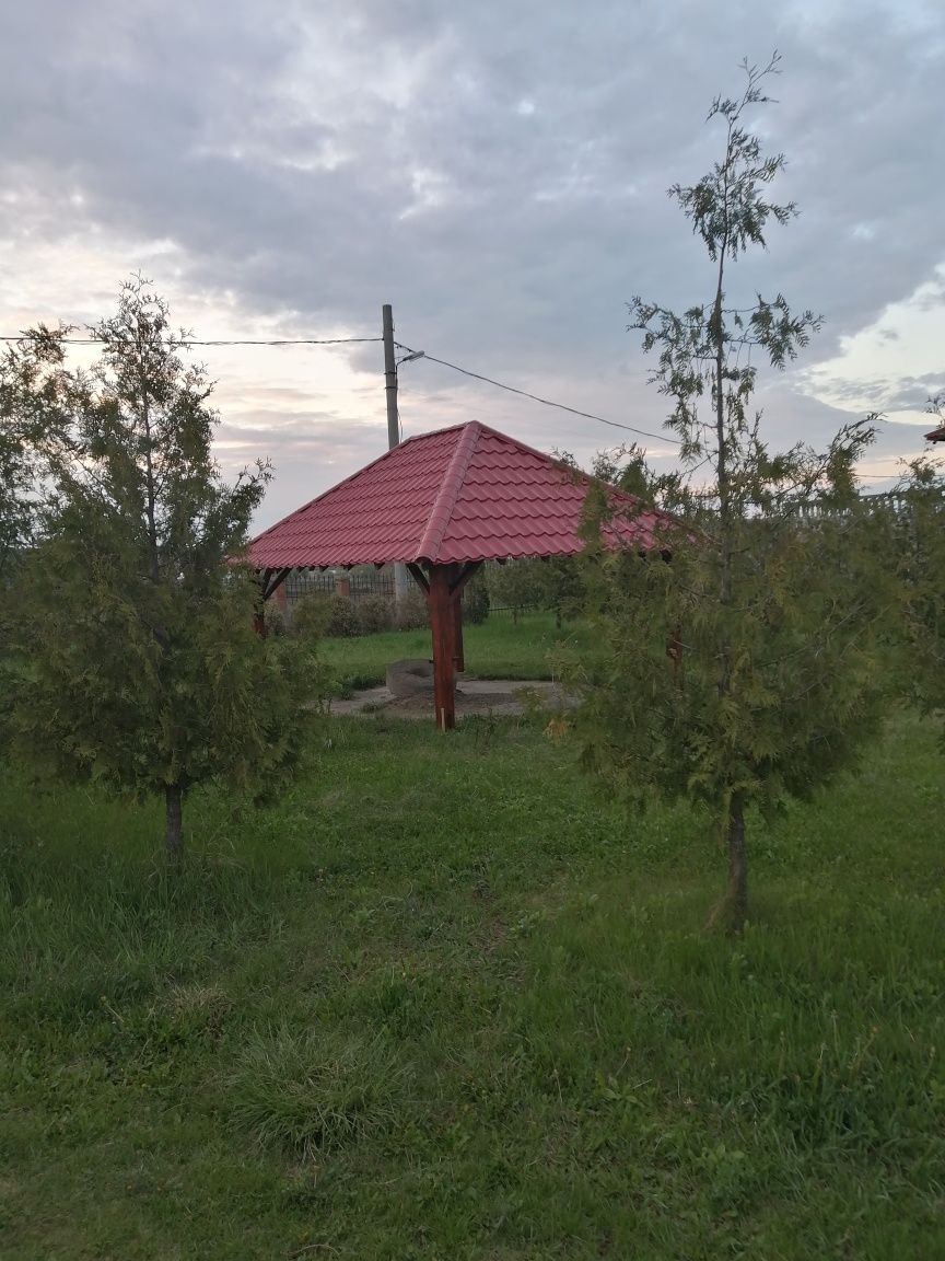 Casa Cu Teren I Iaz De V Nzare Suprafa Teren Ha Livada I Vie