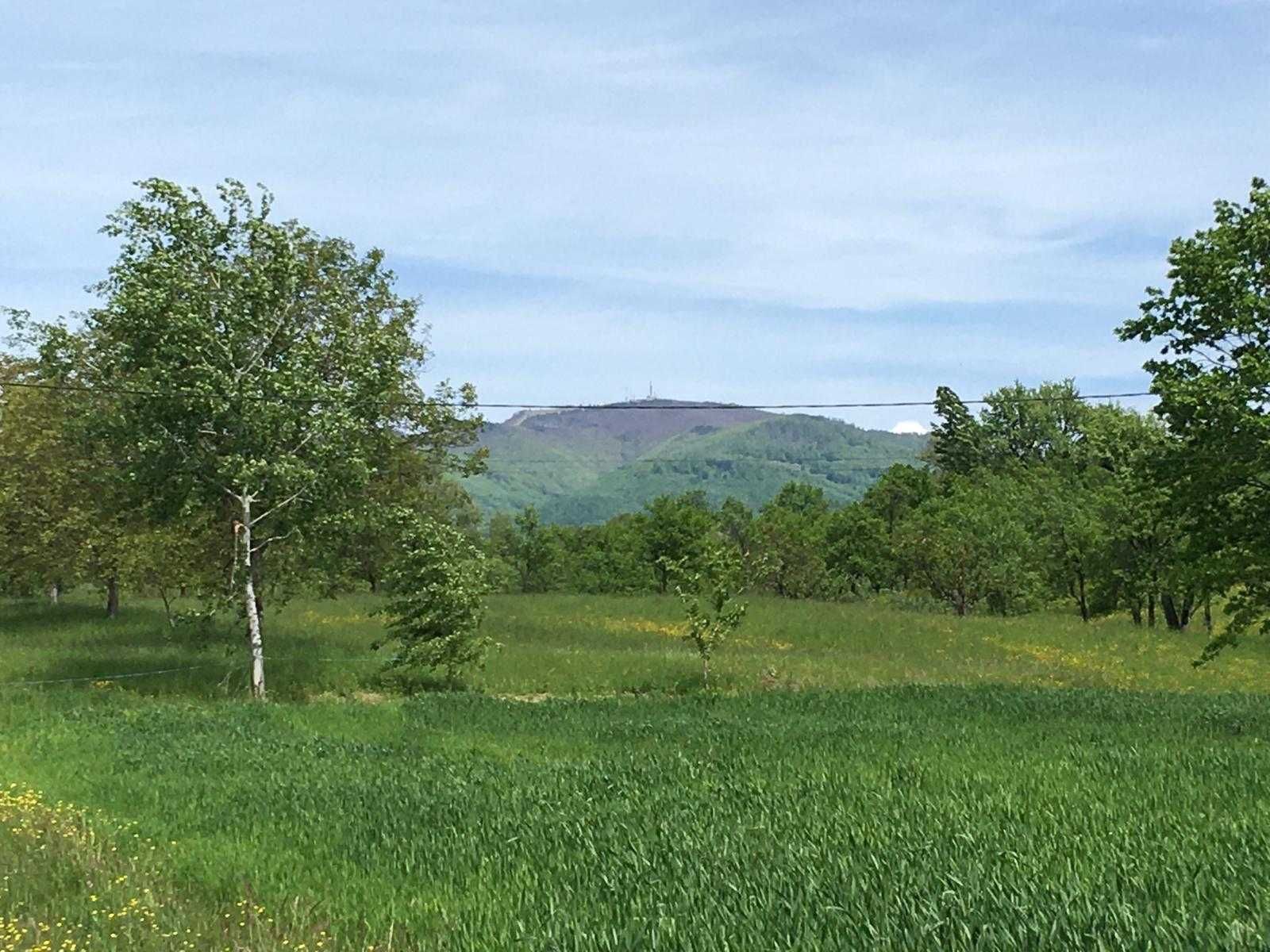 Teren Intravilan De La 900 Euro Ar La 15 Km De Baia Mare Dumbravita