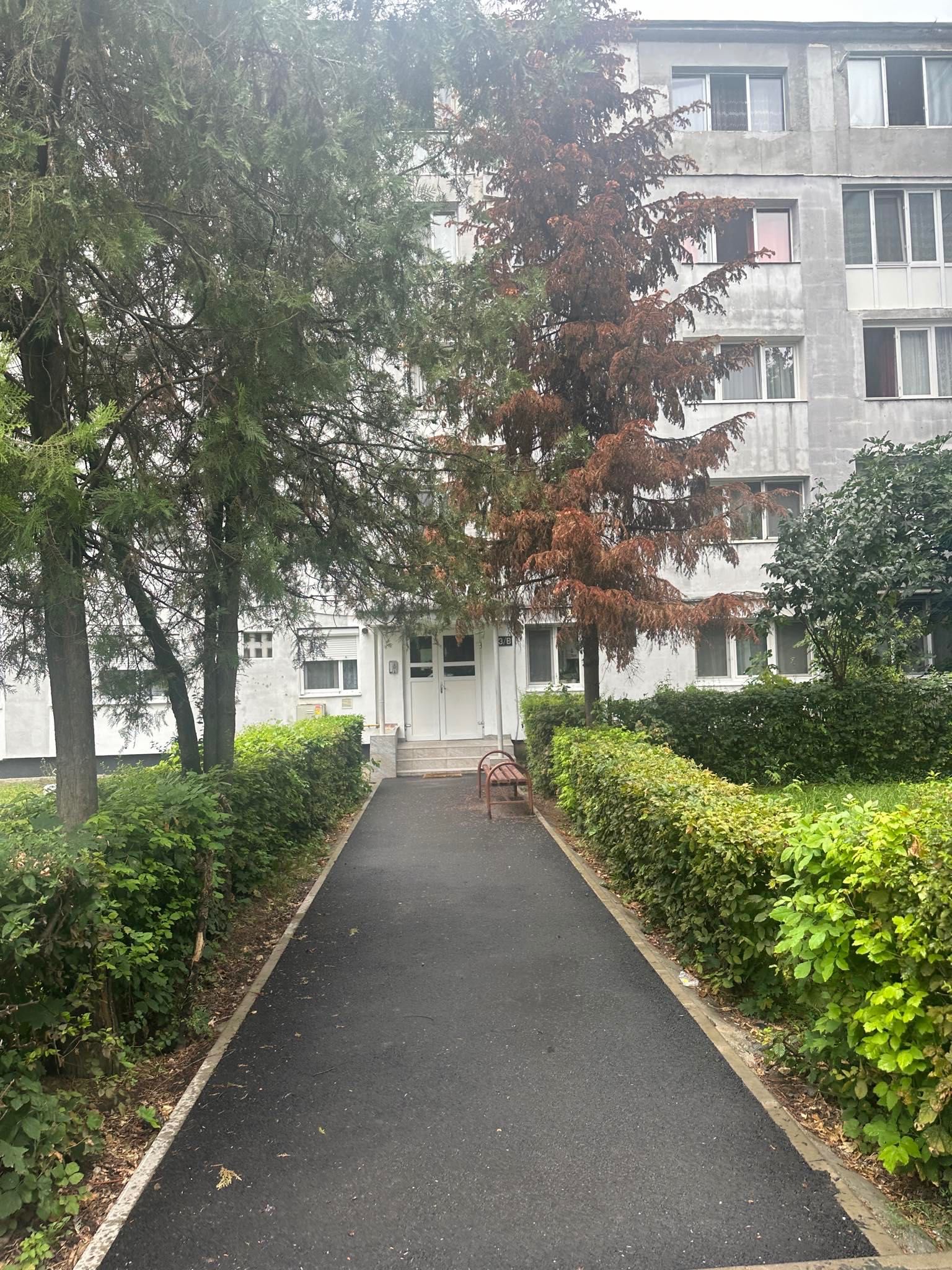 Chirie Apartament Camere Baia Mare Baia Mare Olx Ro