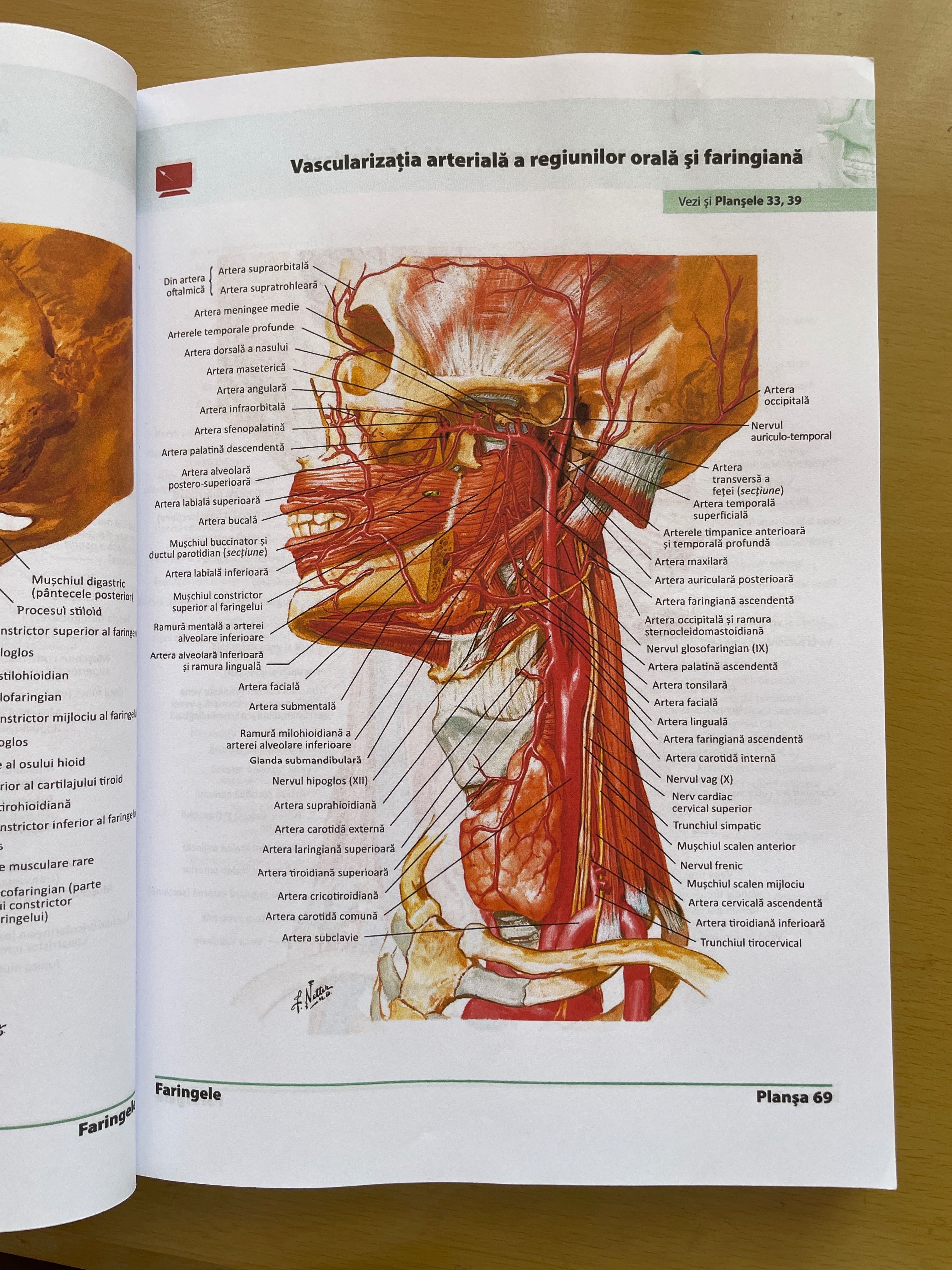 Atlas Anatomie Netter Stare Buna Targu Mures OLX Ro