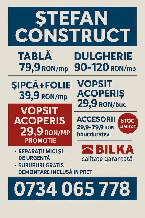 Montaj  acoperisuri BILKA reparații vopsit velux