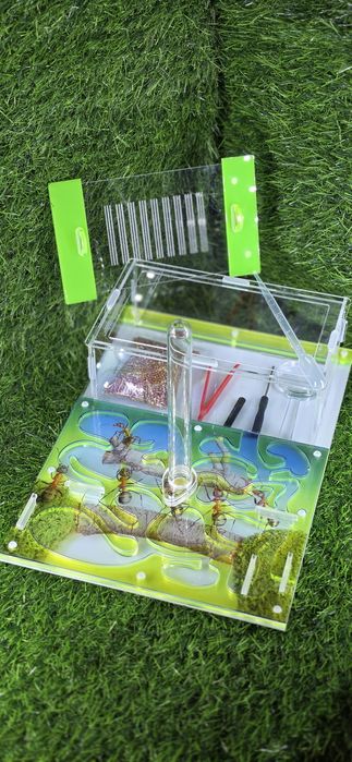 Муравьиная ферма АЛМАТЫ