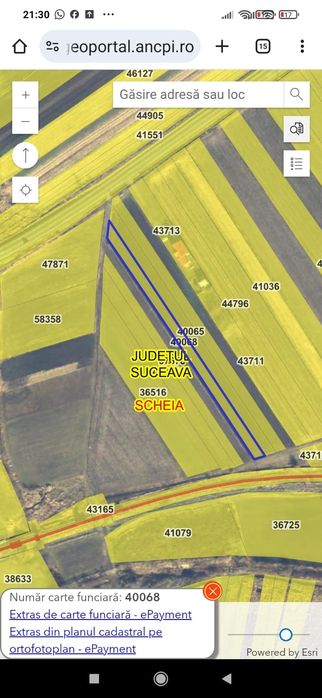 Terenuri la E 58 lângă Fan Courier(Scheia), Dezstore.