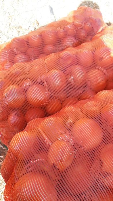 Лук репчатый в мешках