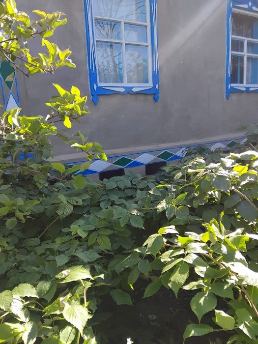 Продам дом, аул Теректы