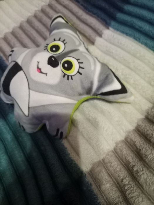 Енот из мема успогойся