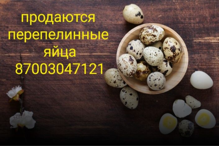 Перепелинные яйца пищевые.