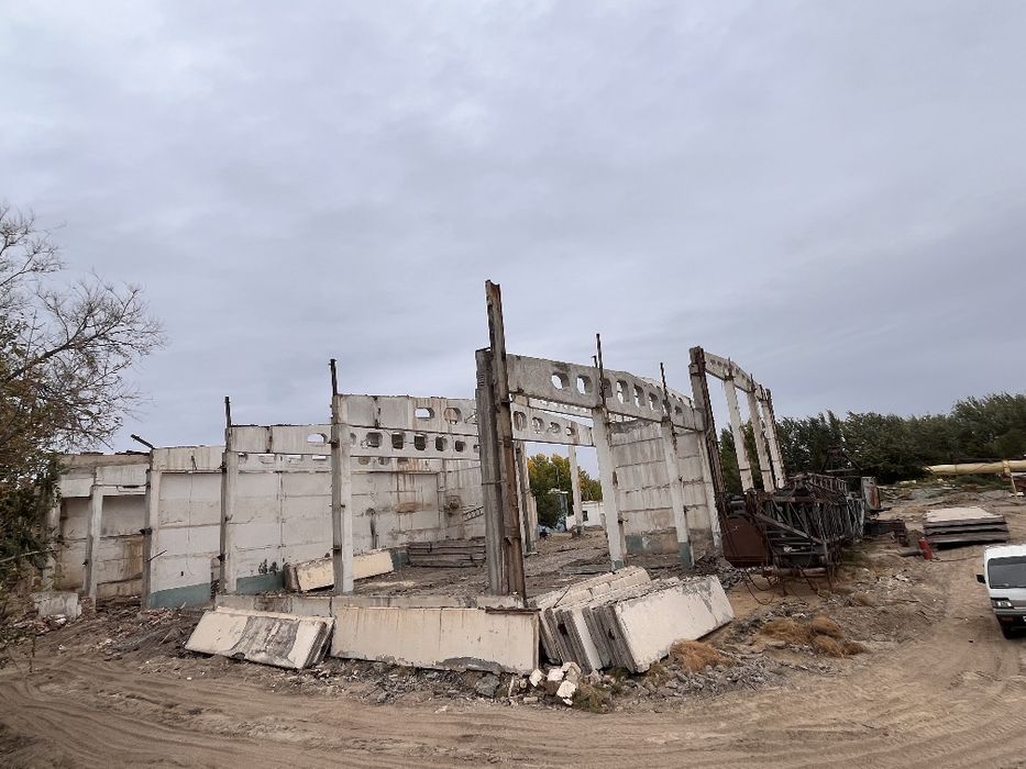 Bolka  Qolona  sotialdi