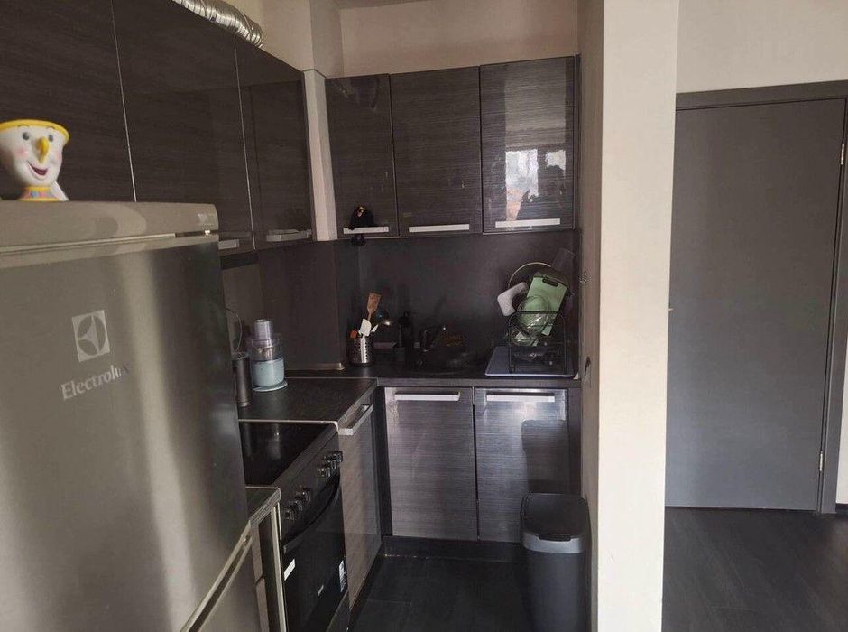 Дава се под наем Тристаен апартамент в София, Хладилника - 120 кв.м за 746.64 € - Снимка #4