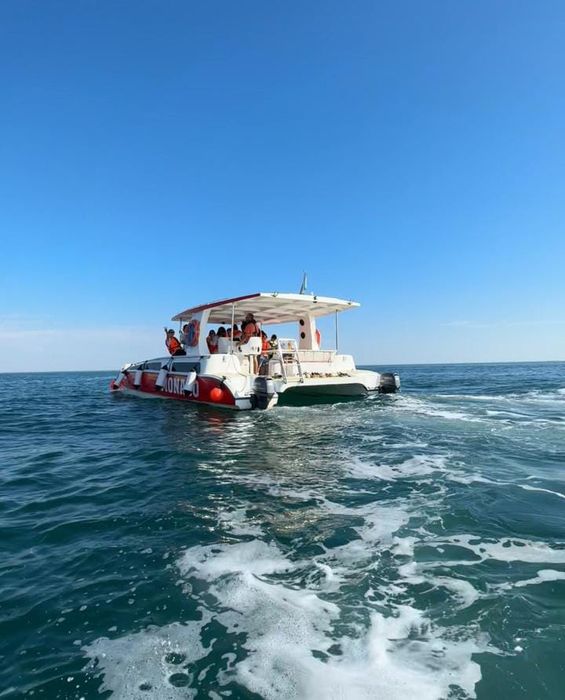 Прогулочный катамаран.