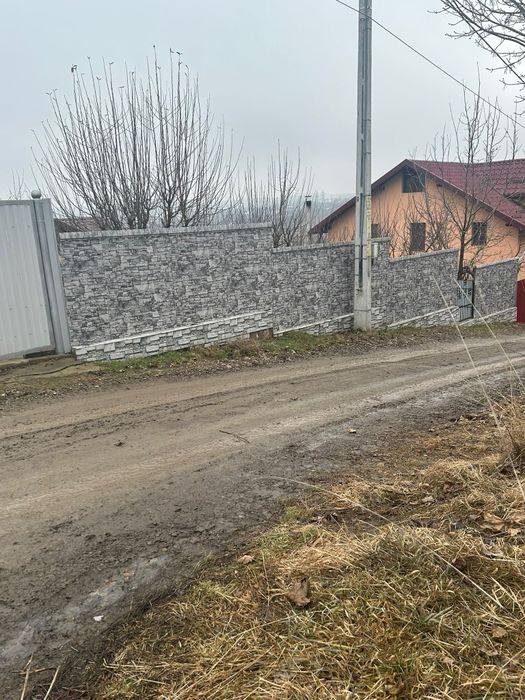 Vând casă în sat Manolesti,Botoșani.