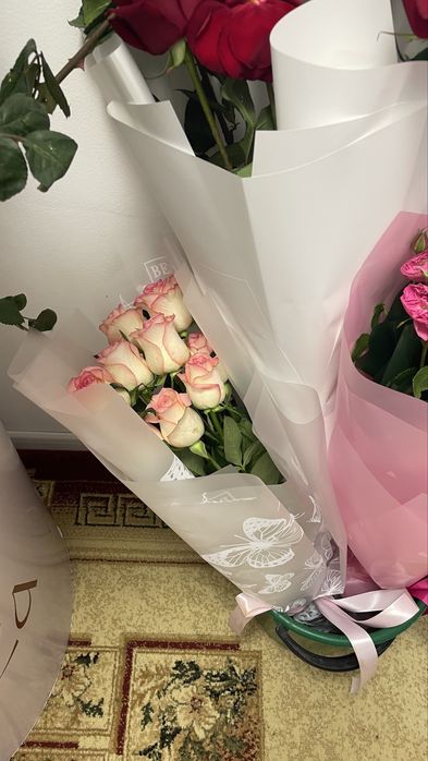 Продам цветы красивые
