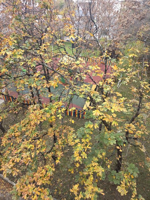 Ap. 2 Mihai Bravu x Matei Voievod