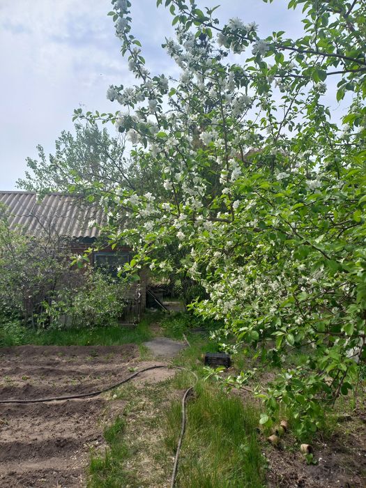 Продам дачу сад Здоровье