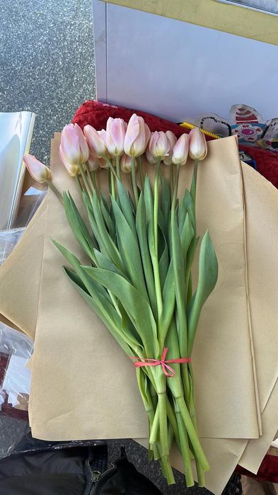 Тюльпаны, цветы, розы