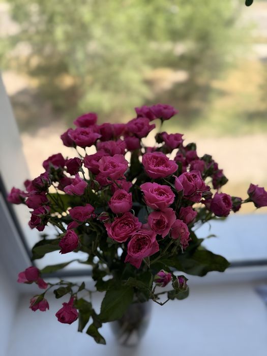 Продаются букеты цветов