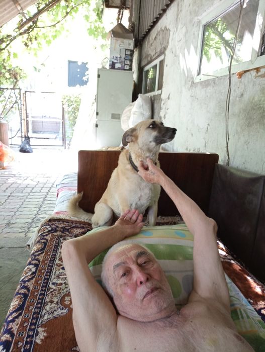 Пропала Собака Снежок