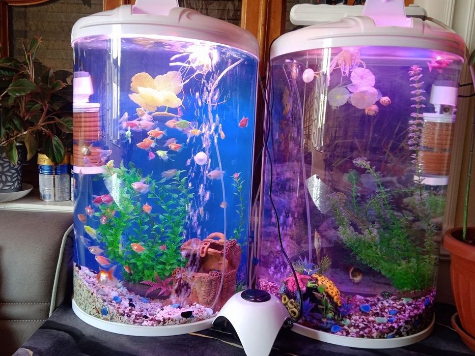 Akvarium sotiladi