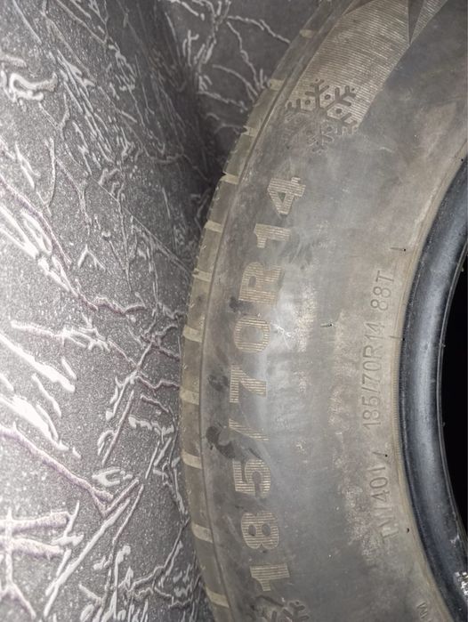 Резина зимняя Triangle