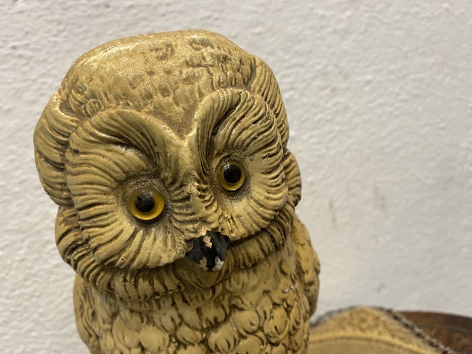 Стар холандски бухал нощна птица