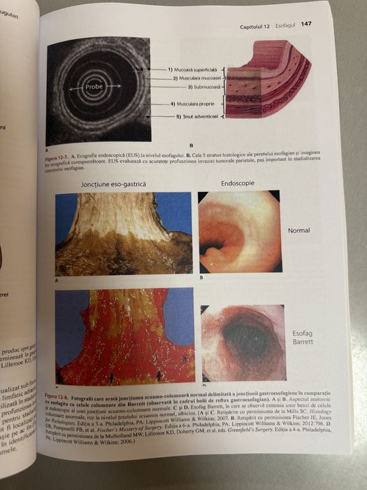 Lawrence Rezidentiat