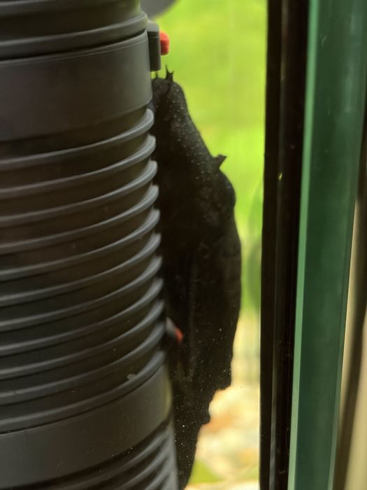 Аквариум EHEIM 126 литра напълно оборудван