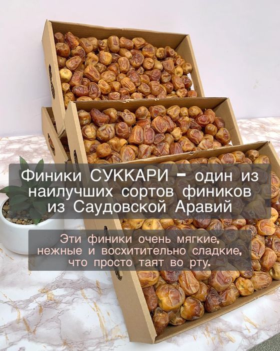 Суккари финик высший сорт