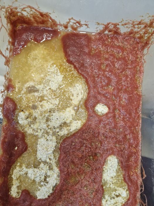 Домашний трубочник Изя