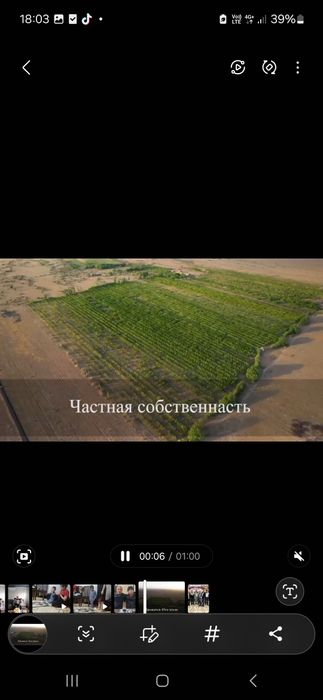 Продам сад 45 га абрикосовый