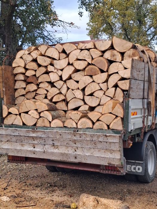 Lemne de foc stejar uscat