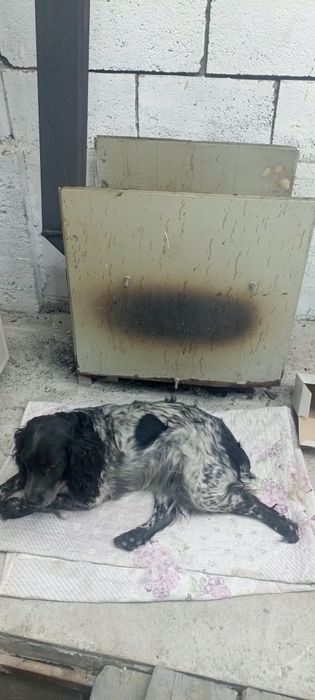 Печь буржуйка на дровах