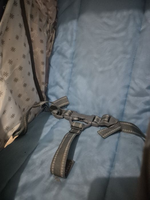 Шана сатылады (дет)