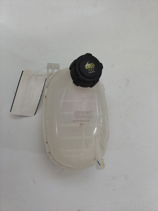 Vas expansiune Dacia Sandero 2022 217102572R