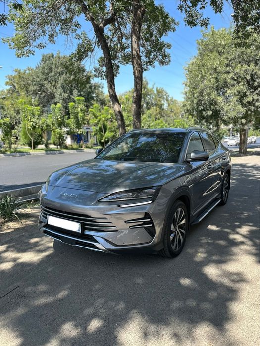 Byd chempion gibrit 2025-yil