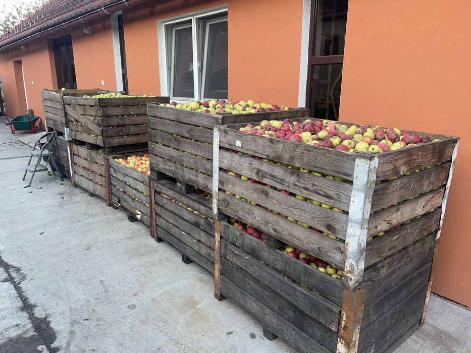 Suc de mere fabricat in Cartisoara