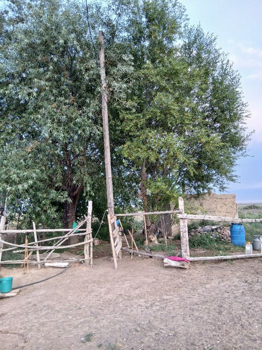 ФАЗЕНДА сатылады