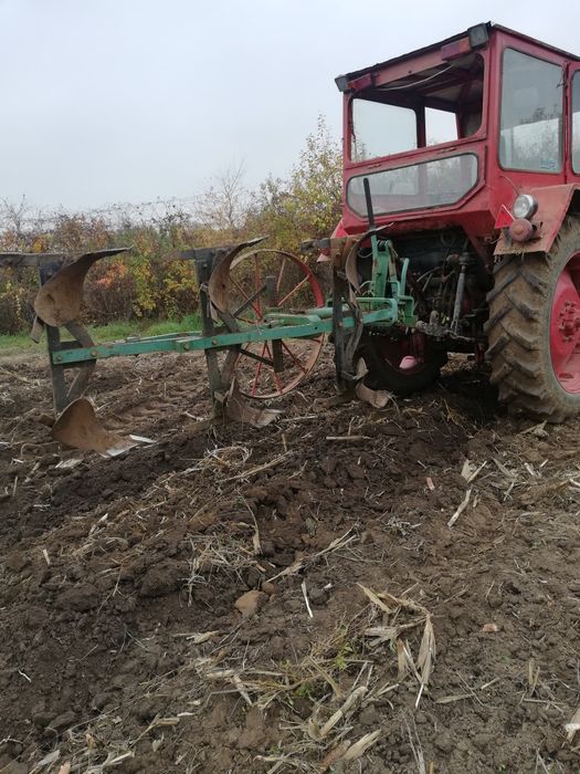 Plug Reversibil Gasner