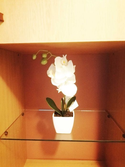 Дава се под наем Офис в София, Стрелбище - 45 кв.м за 350 € - Снимка #8