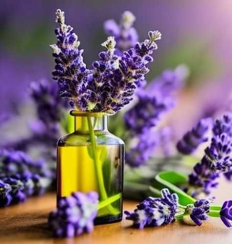 Масажни свещи за ръце с пчелен восък и ароматни етерични масла.