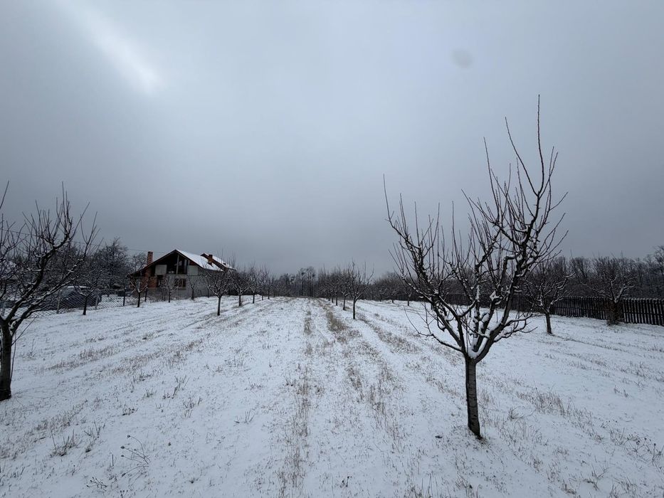 Teren intravilan 5200 mp - zonă superba, brazi și pădure