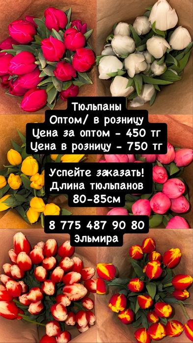 Тюльпаны оптом и розницу