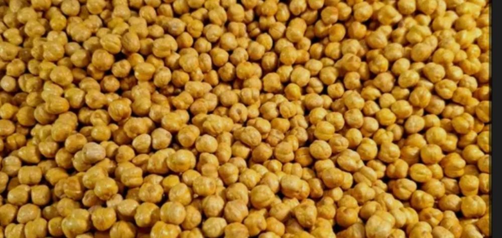 Oliy navli Turkiya Nuxati