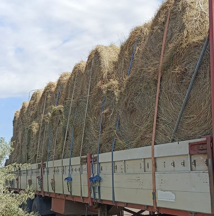 Шөп! Сено  в рулонах и тюках