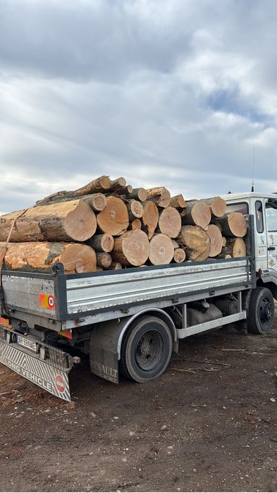 Lemne de foc esenta tare