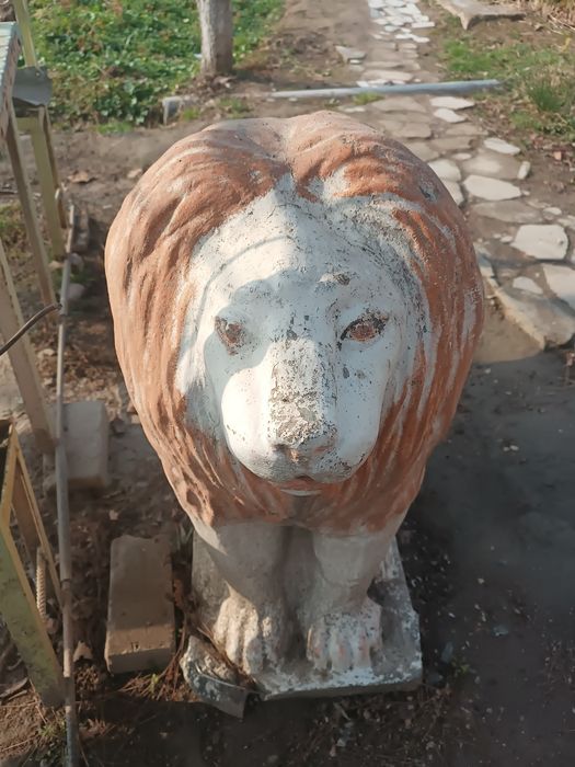 Sher haykal holati zoʻr 1 mln