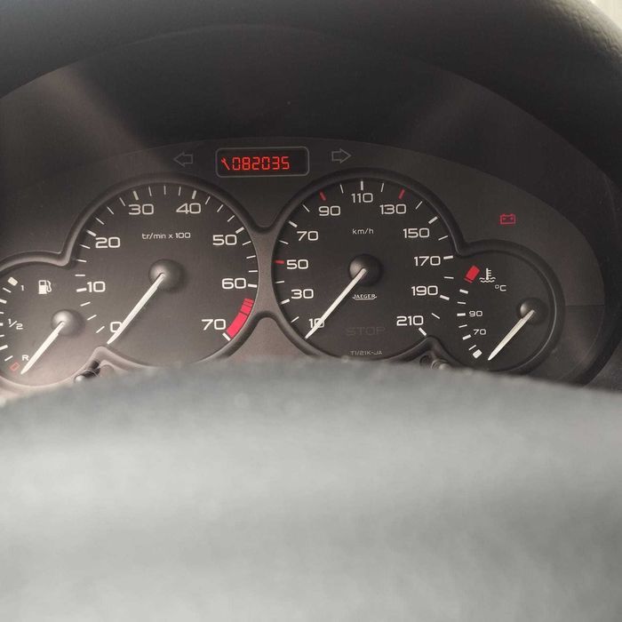 Peugeot 206 1,4 Benzina - KM PUTINI , KM REALI