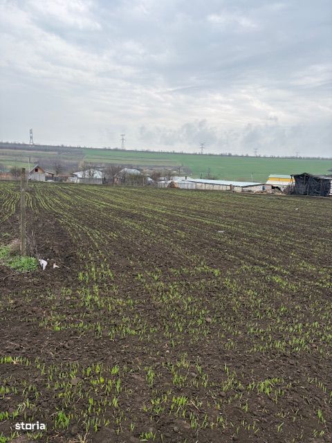 De vânzare teren intravilan 2000 mp Sat Negrea, Județul Galați